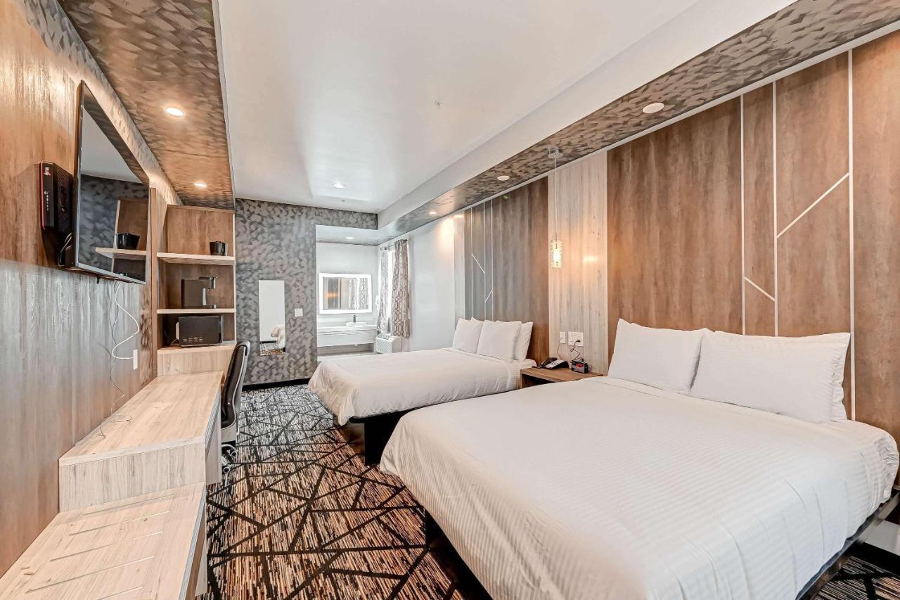סאות' יוסטון Surestay Hotel By Best Western Houston Southeast מראה חיצוני תמונה
