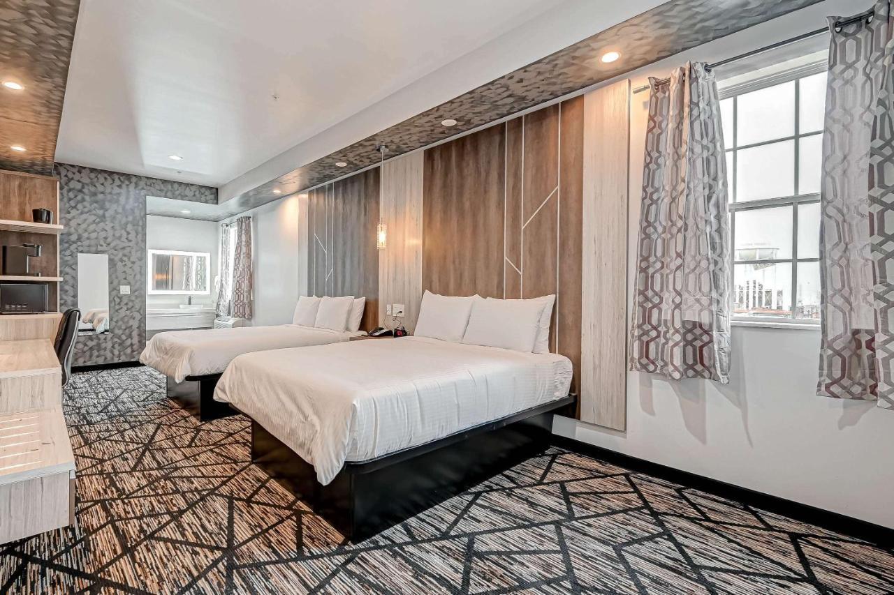 סאות' יוסטון Surestay Hotel By Best Western Houston Southeast מראה חיצוני תמונה